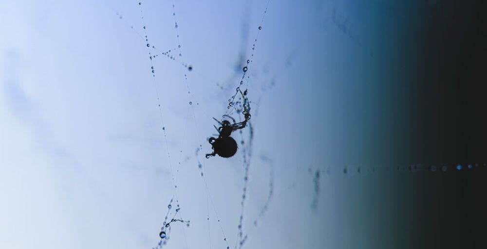 Photograph by Георгий Маршал