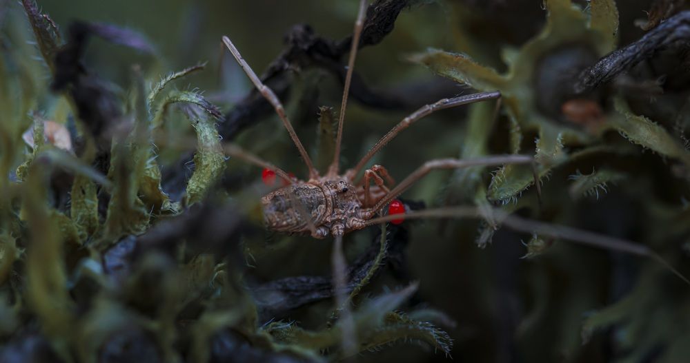 Photograph by Георгий Маршал