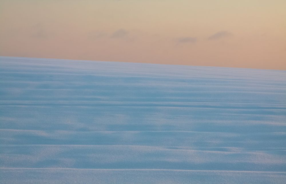 Photograph by Светлана Холодняк