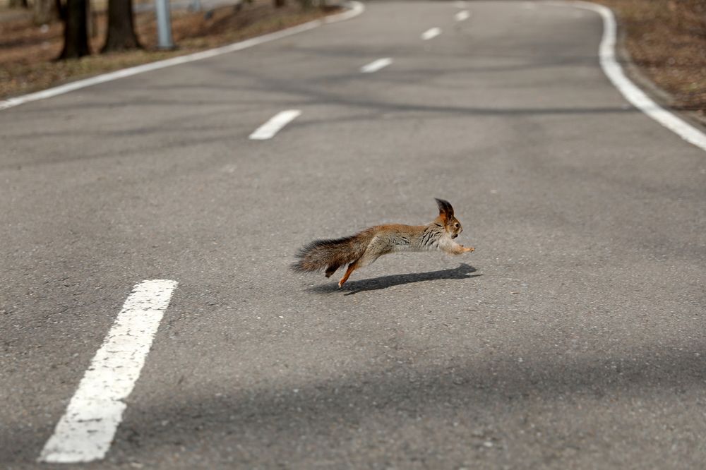 Photograph by Михаил