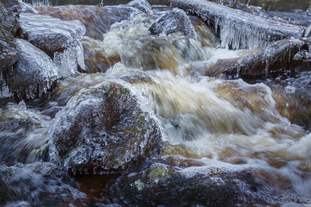 Photograph by Светлана Холодняк