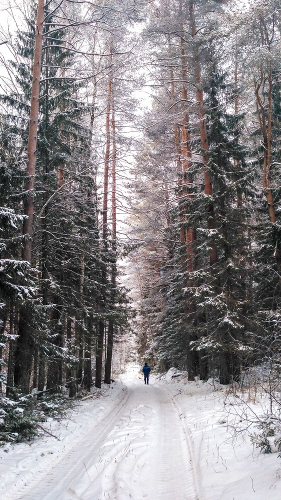 Photograph by Sergey Kashnikov