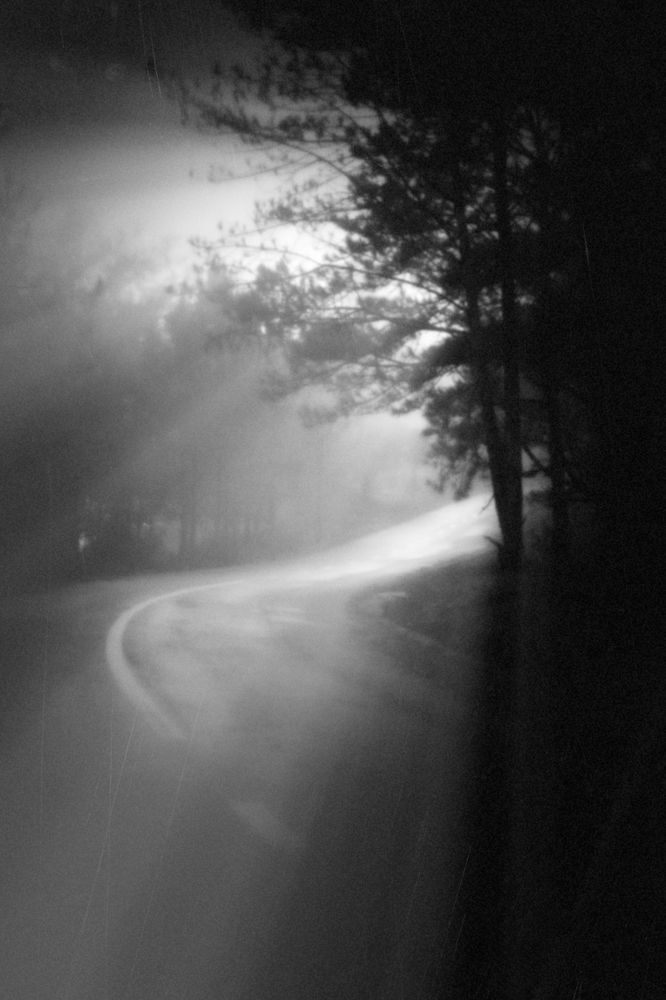 Photograph by Lý Tuấn Đạt