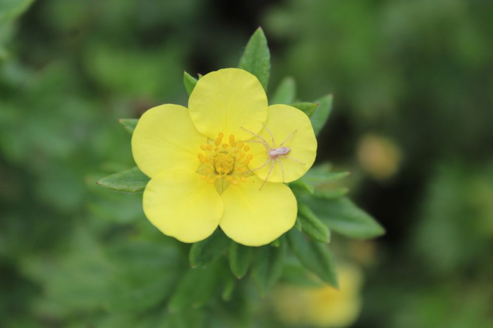 Photograph by Наталия