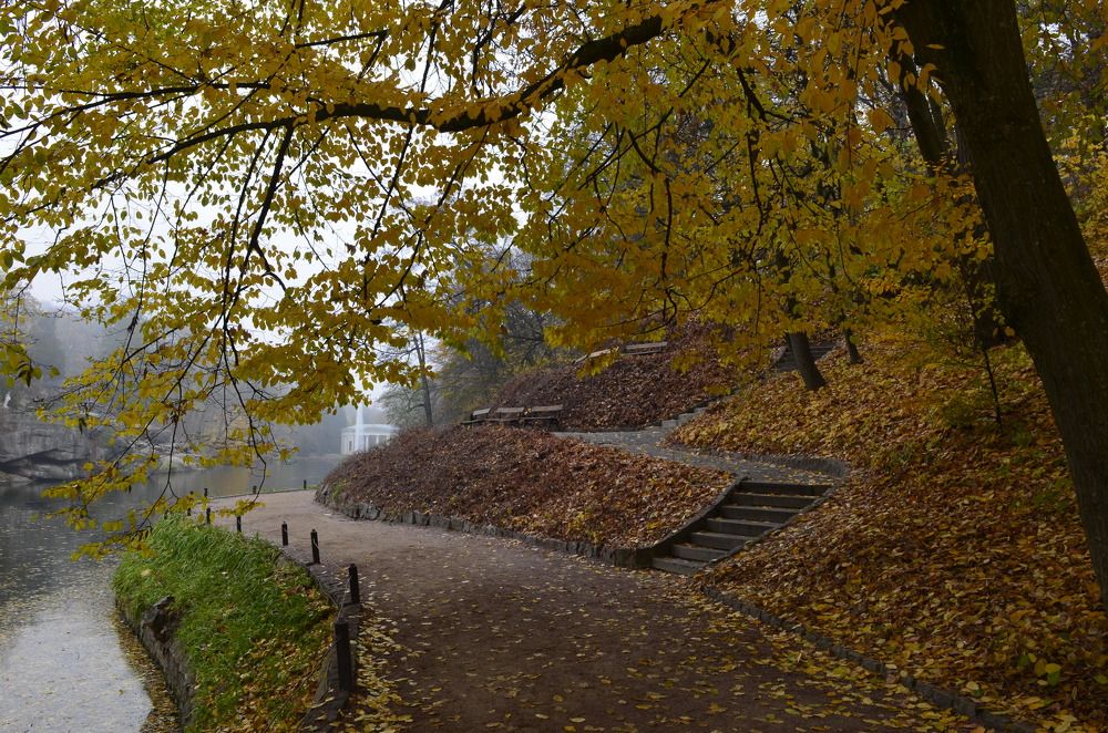 Photograph by Marina