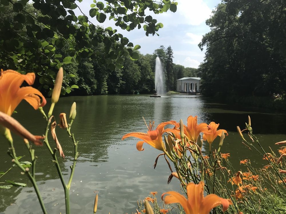 Photograph by Marina