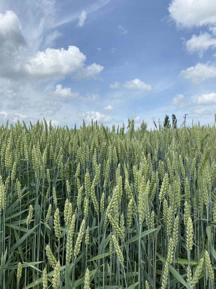 Photograph by Marina