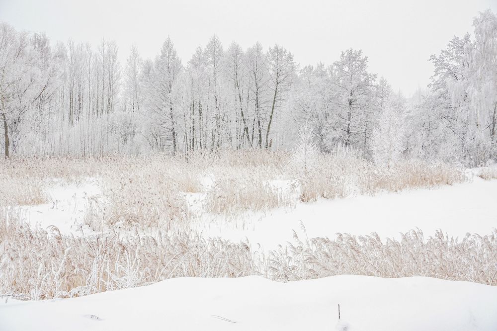 Photograph by Елена Никонова