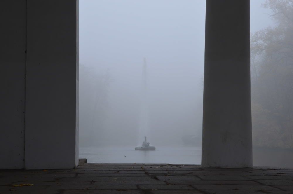 Photograph by Marina