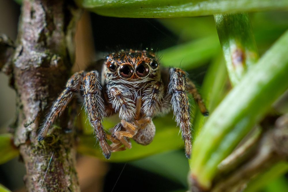 Photograph by Дмитрий Колеватов