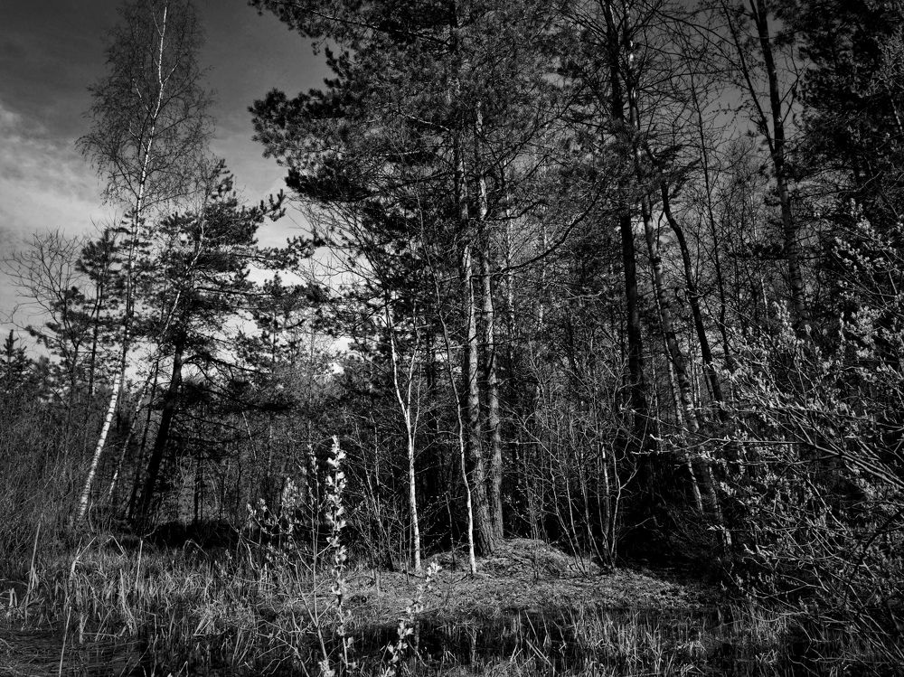 Photograph by Александр Колосков