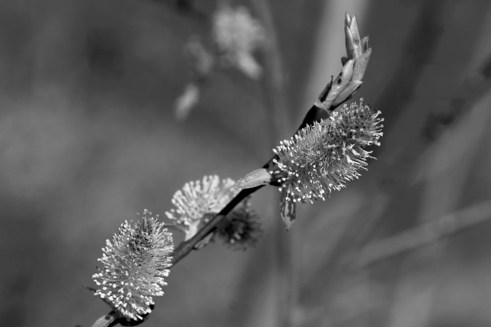 Photograph by Александр Колосков