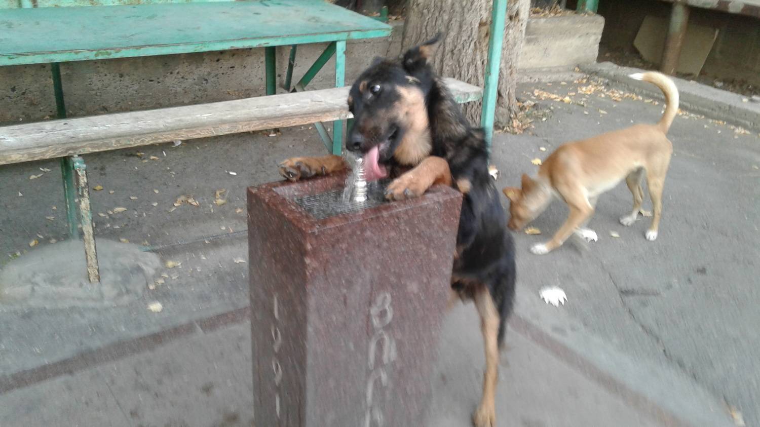 Photo #6950520