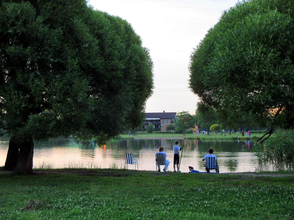 Photo #6950548