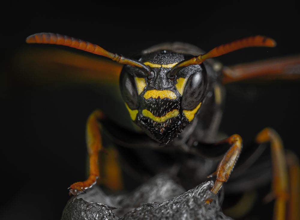 Photograph by Дмитрий Колеватов