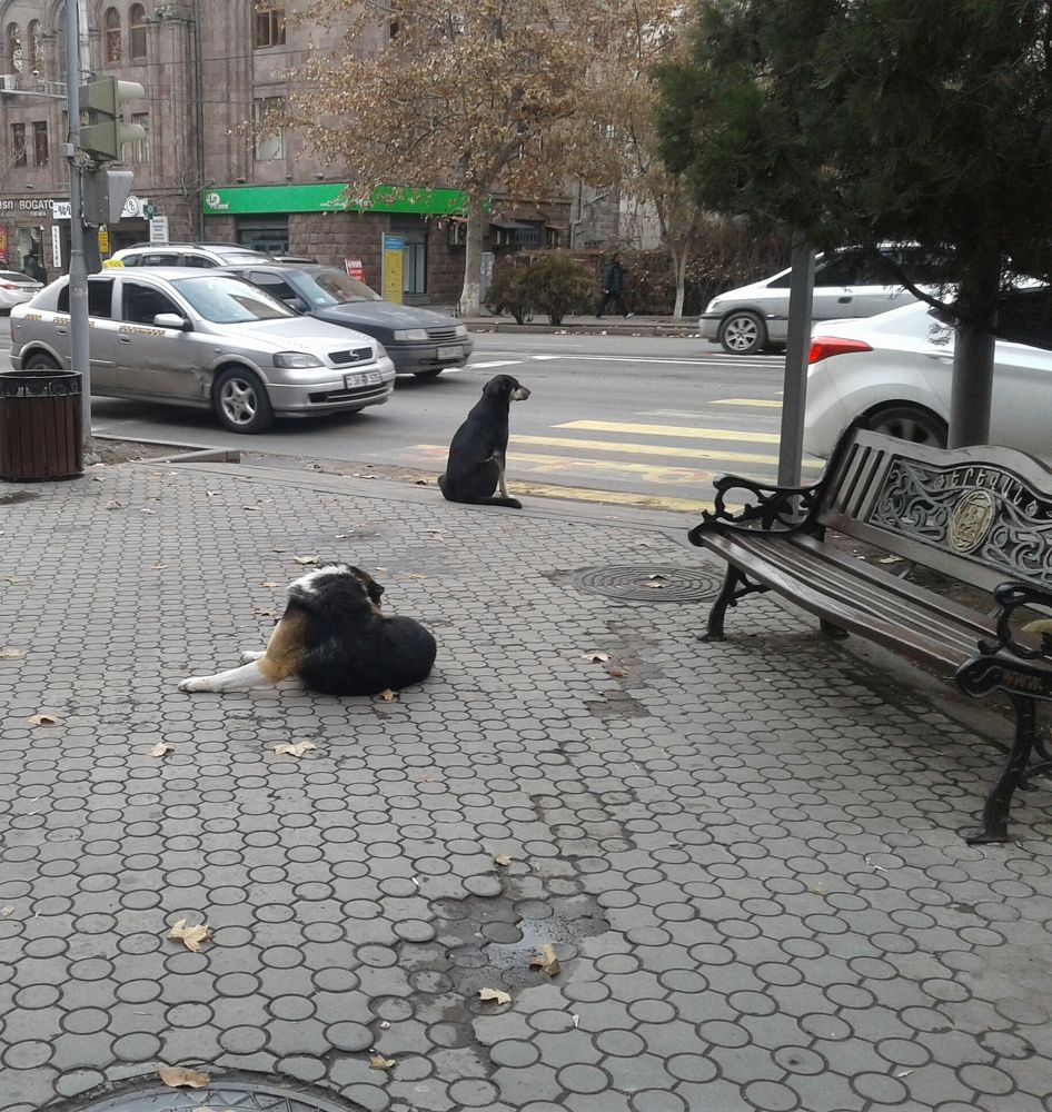Photograph by ELINA S I