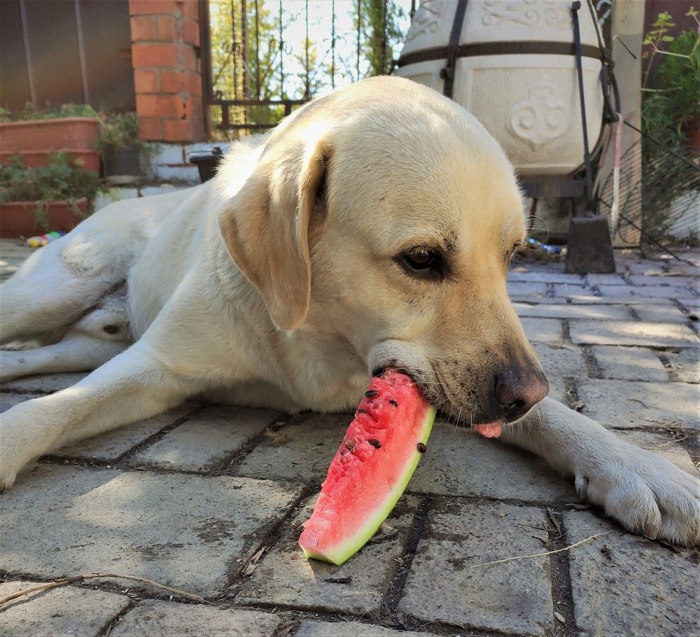 Photograph by Антонина Владимировна Завальнюк