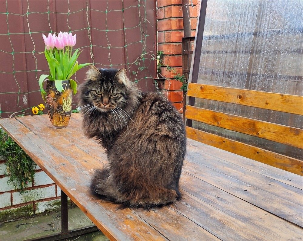 Photograph by Антонина Владимировна Завальнюк