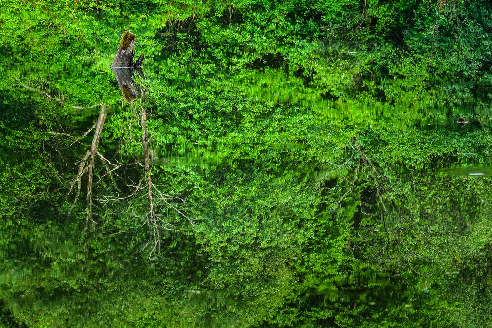 Photograph by Юрий Петрухин