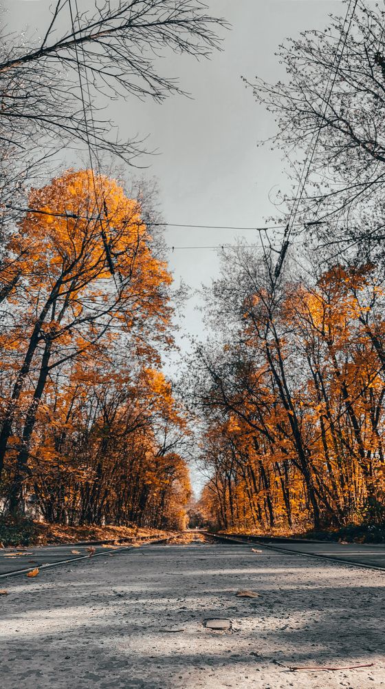 Фотография автора Дмитрий Копейкин