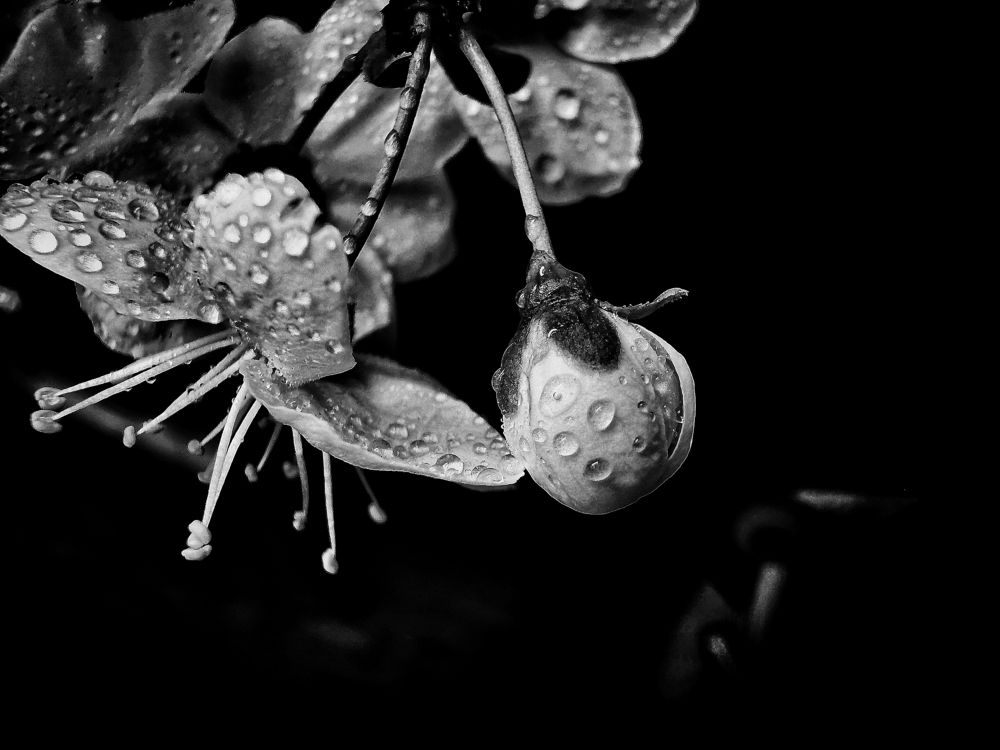 Момент весны