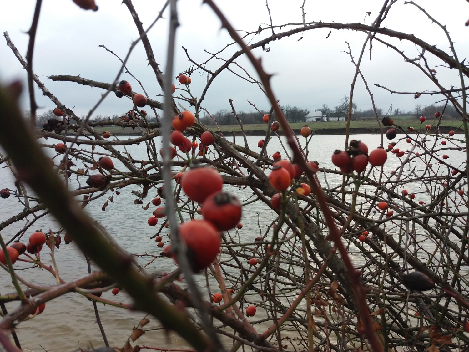 Photo #6950673