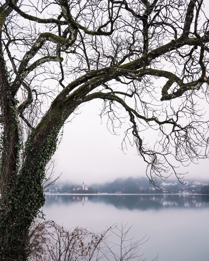 Photograph by Alena Solomonova