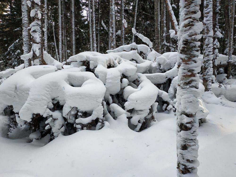 Фотография автора Ирина