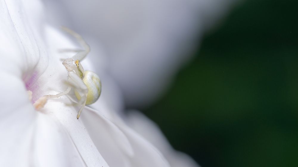 Photograph by Виталий Бодрягин