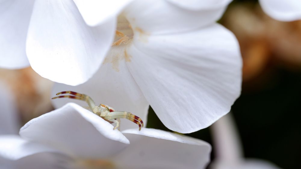 Photograph by Виталий Бодрягин