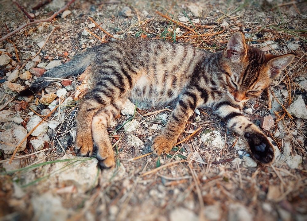 Photograph by Анна Витальевна