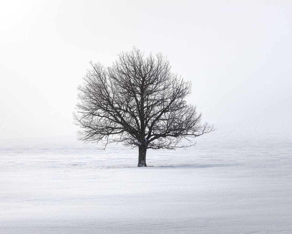 Photograph by Татьяна Бирюкова