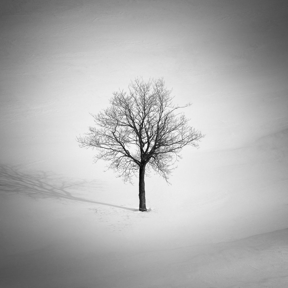 Photograph by Татьяна Бирюкова