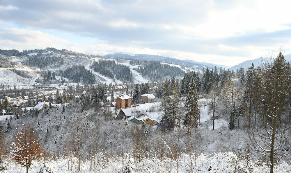 Фотография автора Елена Михальченко