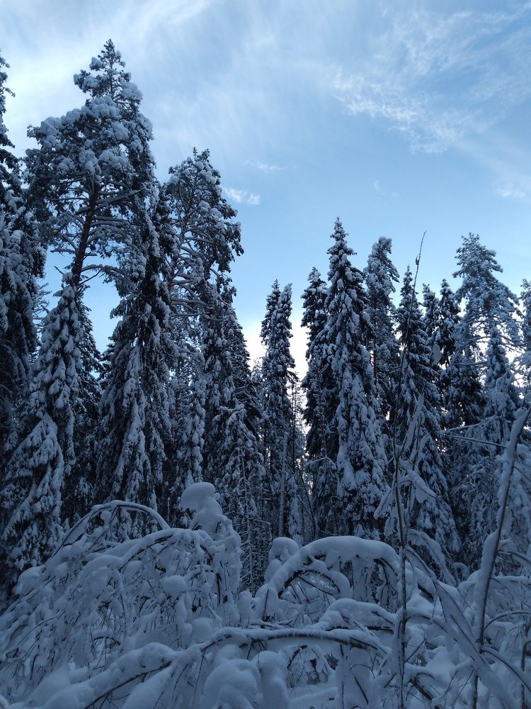 Photograph by Елена Малкова