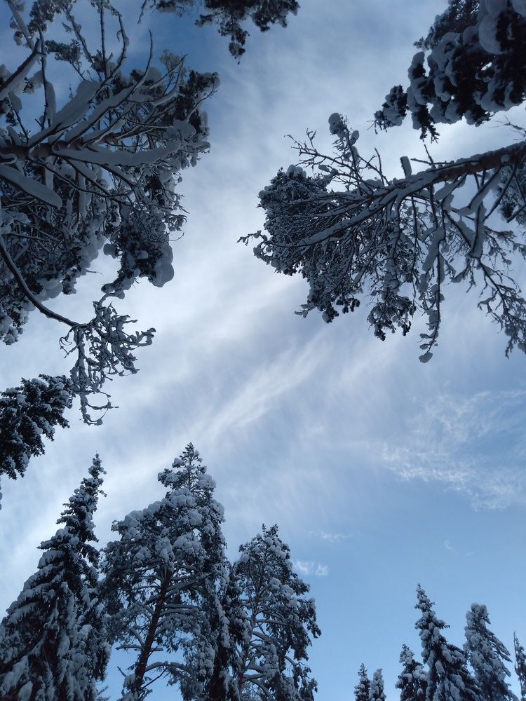 Photograph by Елена Малкова