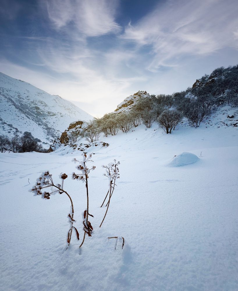 Photograph by Ali goreishi1
