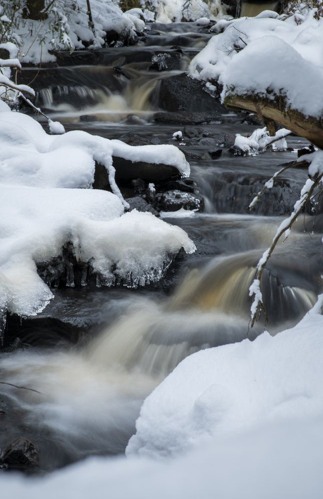 Photograph by Linda Persson