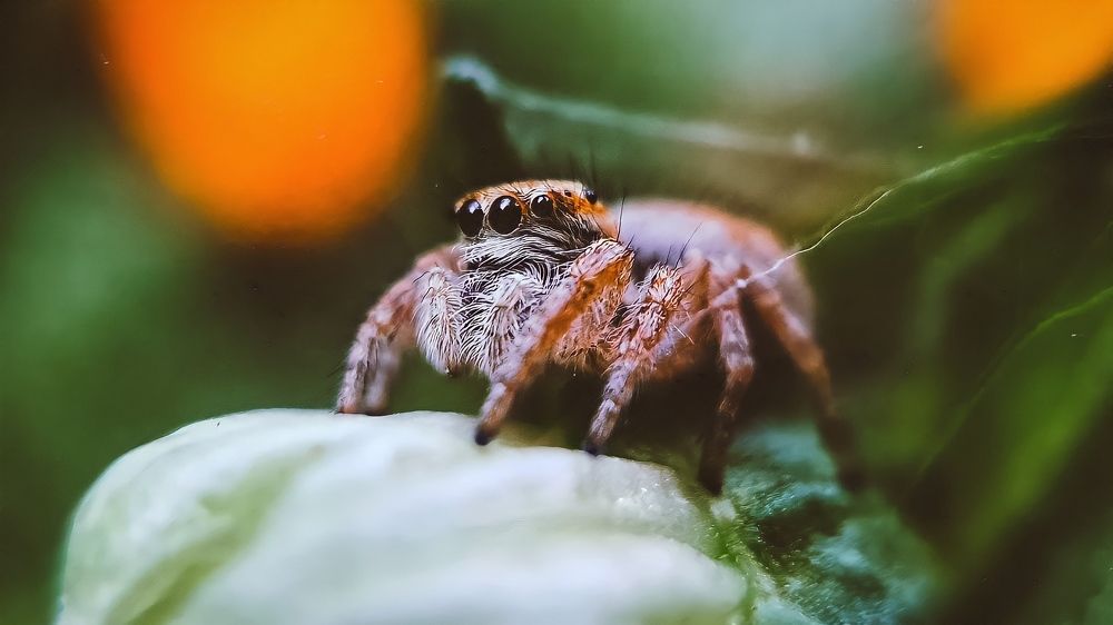 Photograph by Ali goreishi