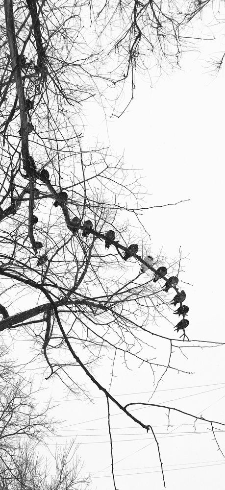 Photograph by Роман Саламатин