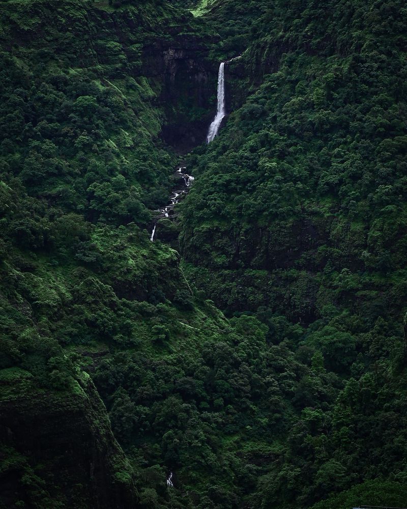 Minimal water fall in lush greens