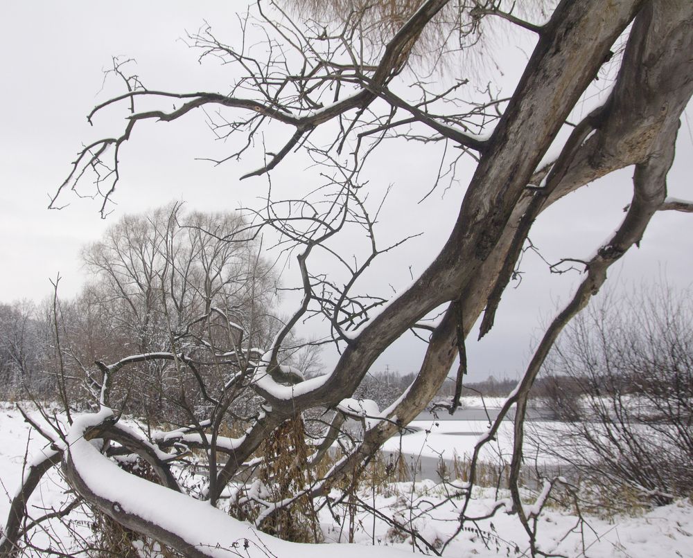 Photograph by Ринат Файзуллин