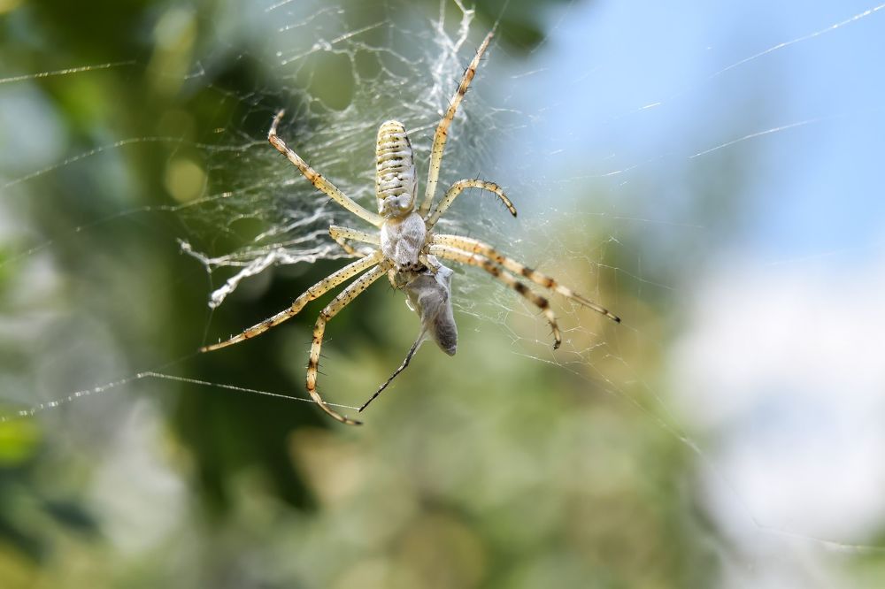 Photograph by Валерия Константинова
