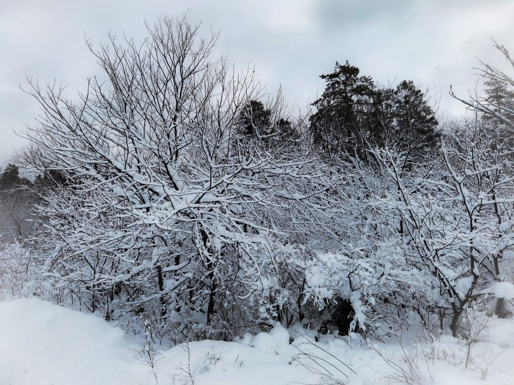 Photograph by Сергей Горбунов