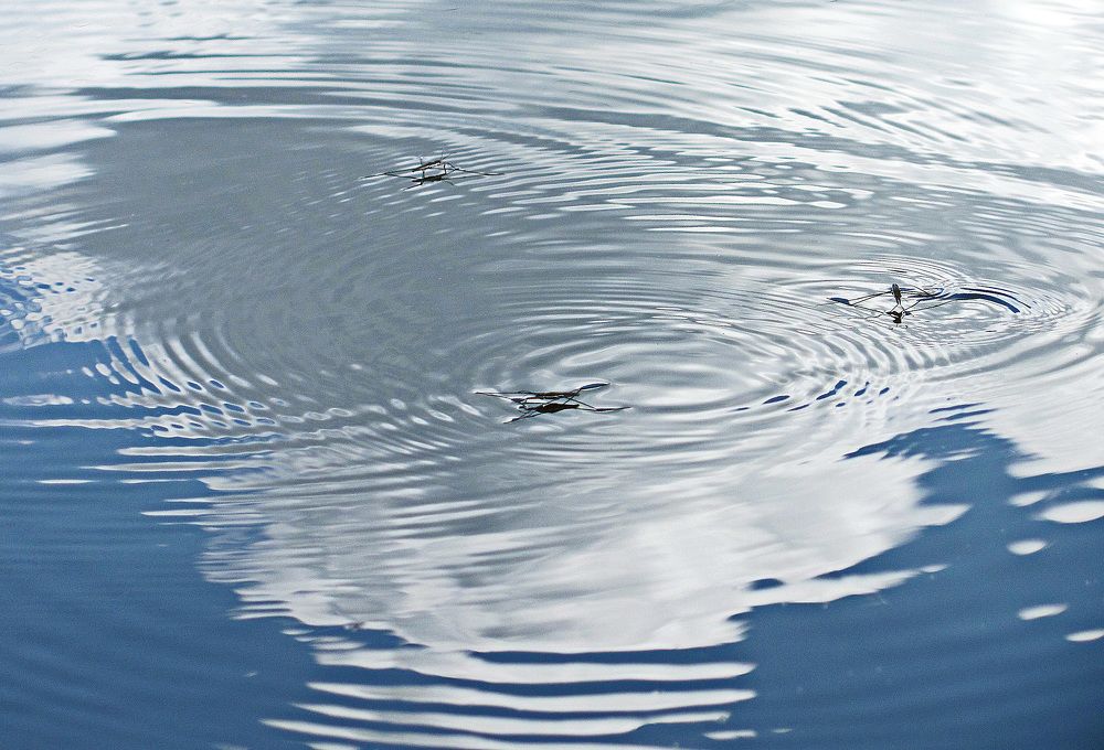 Photograph by Светлана Шмигельская