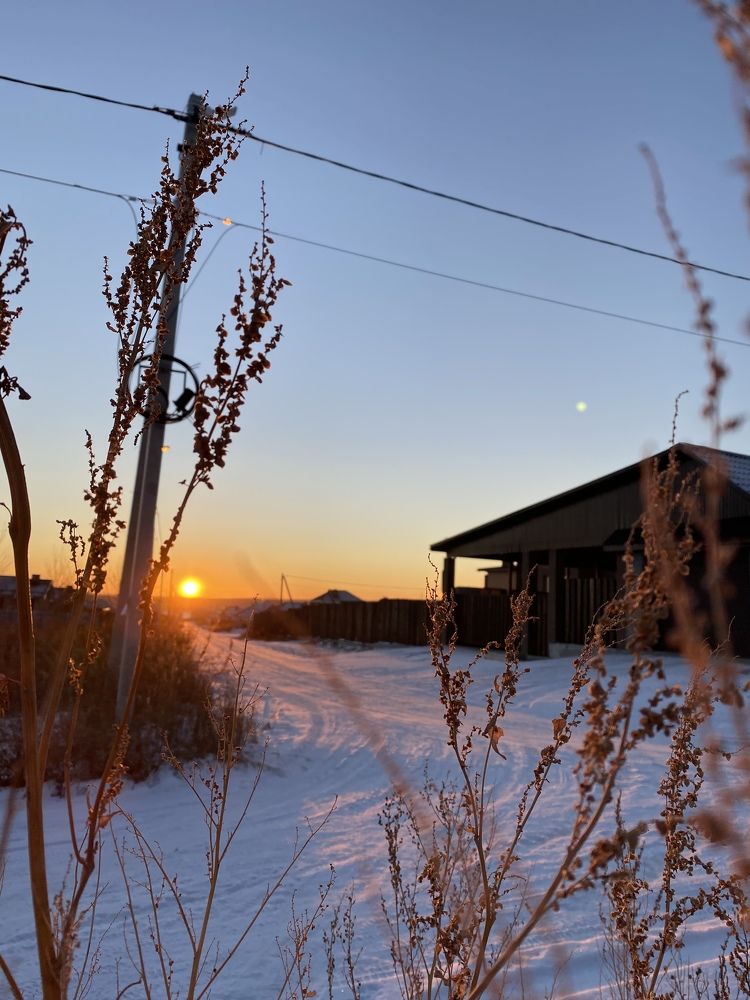 Photograph by Алина Соколова