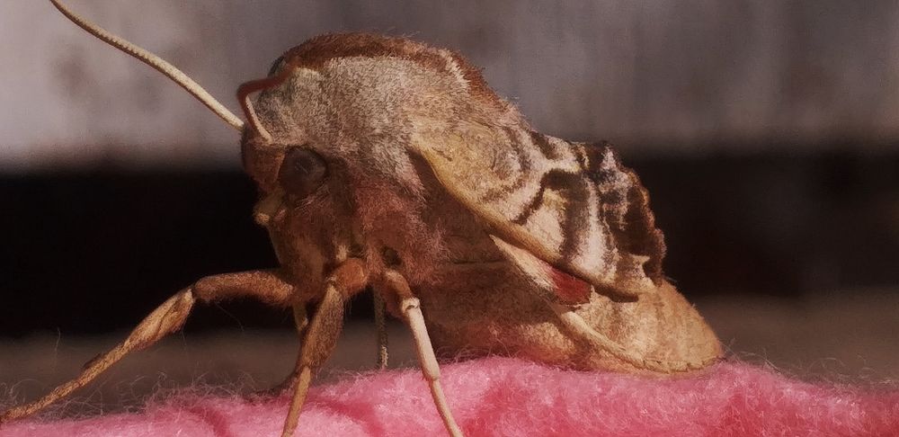 Photograph by Orzigul Babaniyozova