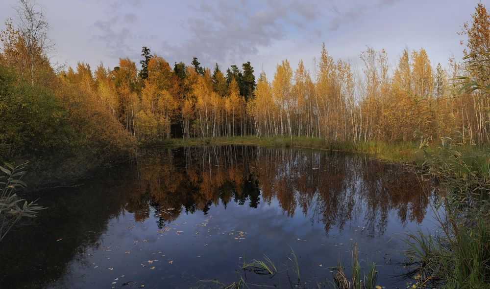 Photograph by Вадим Буцыкин