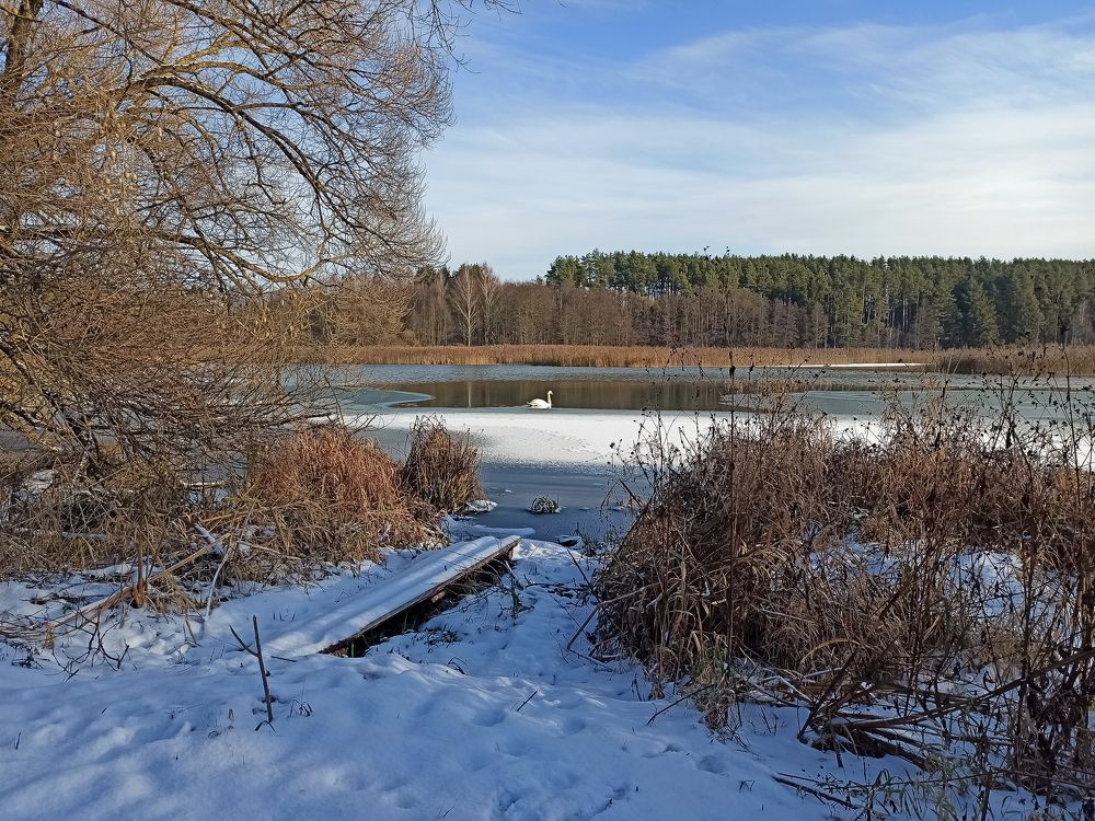 Лебединый мостик