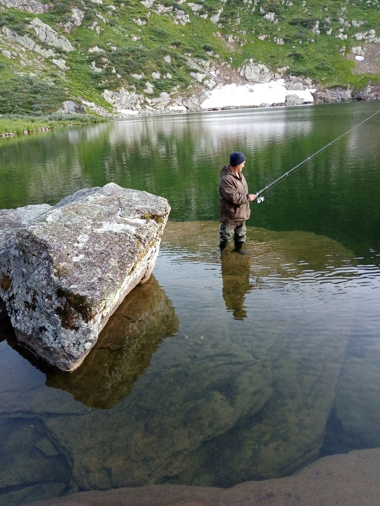 Photo #6951241